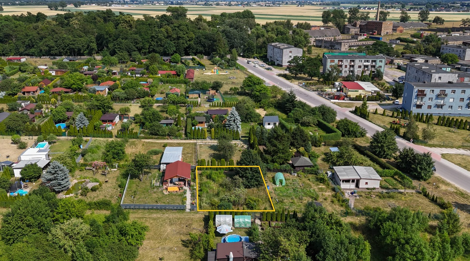Bez tytułu